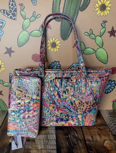 Set brahmin medium asher - set,